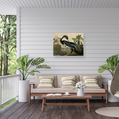 Louisiana Heron All-Weather Outdoor Canvas Wall Art