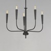 Maxim Lighting Vela 5 - Light Chandelier in  Black - 3 of 4