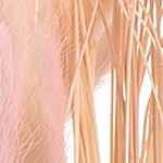 gradient rose purple