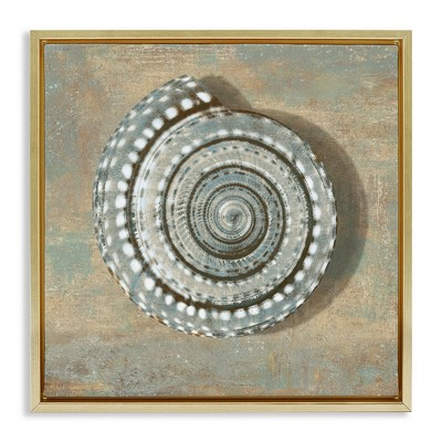 Stupell Industries Spiral Shell Beach Objects Design, 18" x 18"