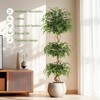 6FT Faux Ficus Tree with Curved Trunk & White Pot - Artificial Silk Plant for Home, Office, Living Room Decor - 4 of 4