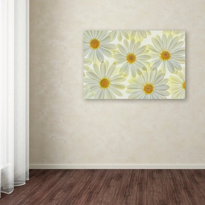 White and Yellow Daisy Flowers Canvas Art 12'' x 19''