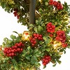 Puleo 4' Pre-Lit Artificial Potted Swirl Tree Adorned with Red Berries - 4 of 4