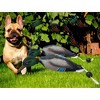 Dead Duck Dummy Dog Trainer Hunting Toy, Teaches Mallard and Waterfowl Game Retrieval - 3 of 4