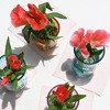 Atelier Saucier Cocktail Napkins, Set of 4 - 2 of 3