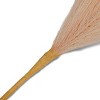 Faux Foliage Pampas - Bullseye's Playground™ - 3 of 3