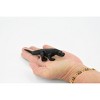 Collectible Wildlife Gifts | Komodo Dragon, Black, Lizard,  Rubber Reptile, Hand Painted, Realistic,  Toys,  Gift,    5 Inches.    F3636 B209 - 2 of 4