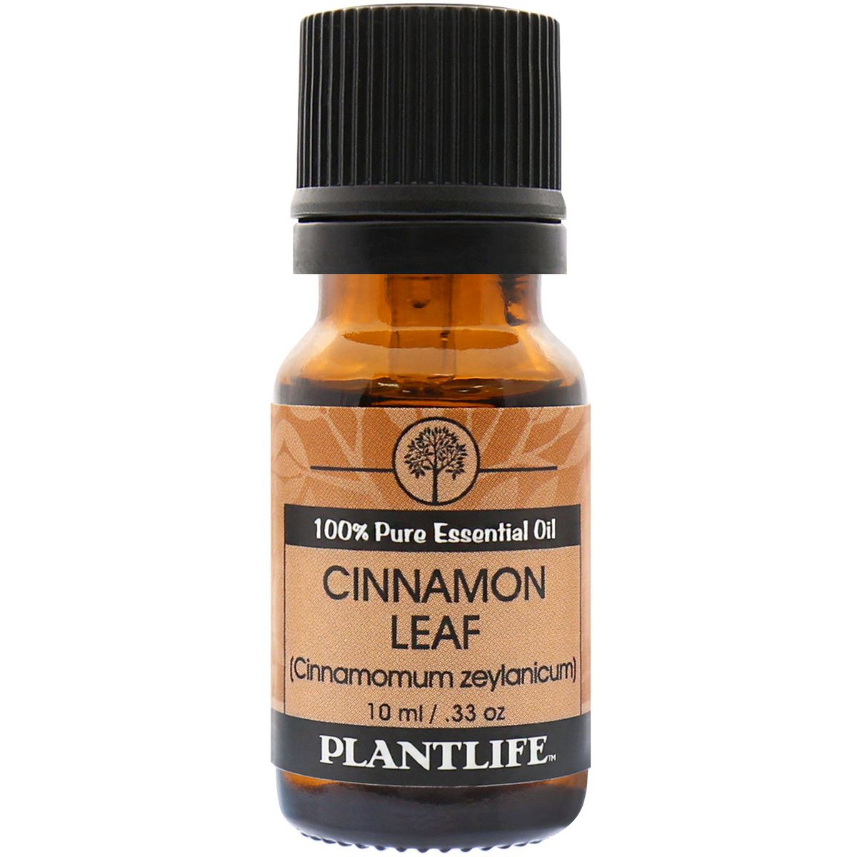 Plantlife Cinnamon Leaf Essential Oil – 100% Pure & Therapeutic – Natural, Undiluted & Steam-Distilled – No Additives – 10ml Aromatherapy