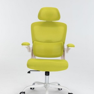 Best Ergonomic Mesh Office Chair With Lumbar Support,Flip-Up Arms,Swivel Desk Chair High Office Chair With Wheels-The Pop Home - 1 of 4