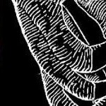 clear push pins bundle