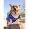 NCAA Florida Gators Mesh Pets Jersey - XXL - 4 of 4