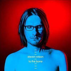 Steven Wilson - To The Bone (2 LP) (Vinyl)