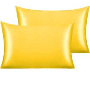 2 Pack Satin Pillowcases for Hair and Skin, Luxurious and Silky Pillow Cases with Envelope Closure - NTBAY - 1 of 4