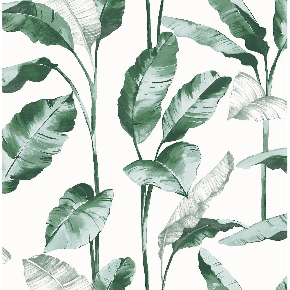 Brewster Peel and Stick 1pc Wallpaper Banana Leaf Teal