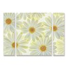 Trademark Fine Art -Cora Niele 'Daisy Flowers' Multi Panel Art Set Large 3 Piece - 2 of 3