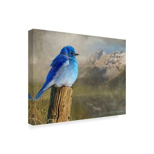 Trademark Fine Art -Chris Vest 'Mountain Blue Birds' Canvas Art - 1 of 4