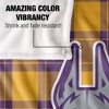 University At Albany Campus Plaid Spirit Silky Touch Super Soft Throw Blanket 50x60 - 4 of 4