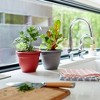 Bloem Ariana Round Resin Planter Pot Indoor and Outdoor Gardening - 2 of 4