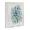 Stupell Industries Coral Ball Blue Sea Beach Design, 24" x 24" - 3 of 4