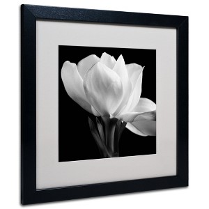 Trademark Fine Art - Michael Harrison 'Gardenia' Matted Framed Art - 1 of 3