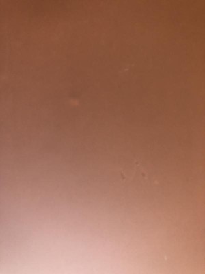 Guest review image 5 of 5, zoom in