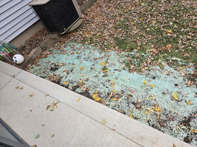 Guest review image 4 of 5, zoom in