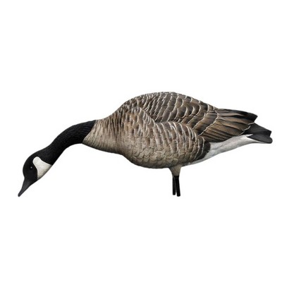 Avian X AXP Honkers Feeders Pack Full Body Canada Goose Decoys with Ultra Realistic Paint, Flocked Heads, 4 Feeders, and 2 Walkers