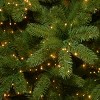 7.5' Prelit LED Downswept Douglas Fir Artificial Christmas Tree Multicolor Lights - National Tree Company - 4 of 4