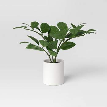 10.5" Small Tabletop ZZ Artificial Plant - Threshold™