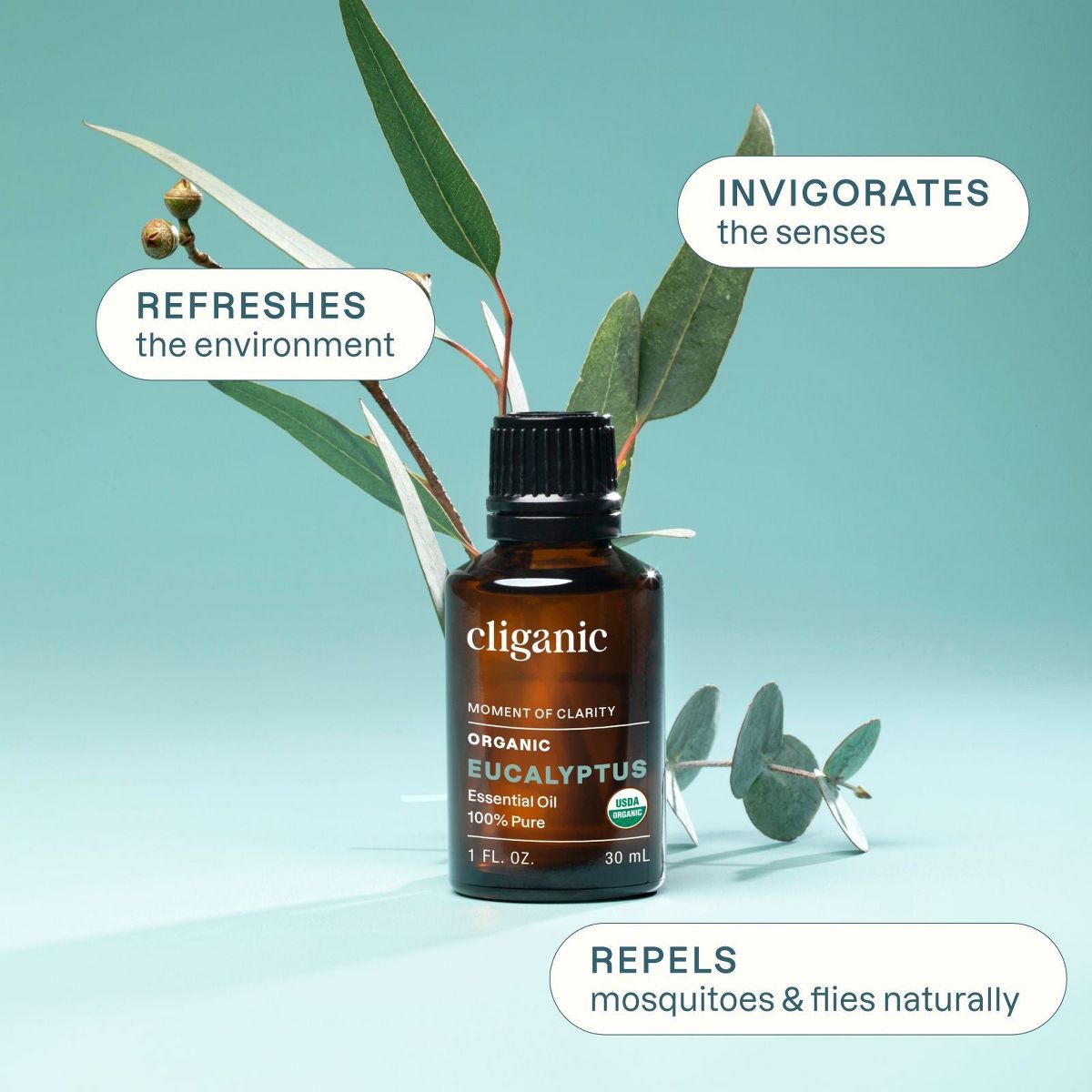 Organic Eucalyptus Essential Oil - thumbnail 3