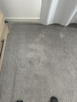 Guest review image 2 of 2, zoom in