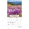 Trends International 2026 Nature's Bouquet Bilingual French 12"x12" Wall Calendar - 3 of 4