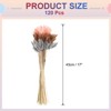 Unique Bargains Natural Dried Floral Bunny Tail Artificial Plants 17" 120 Pcs - 2 of 4
