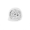 Gracie Mills Roth All-Seasons Blanket with Goose Feather and Down filling - 4 of 4