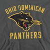 Ohio Dominican University Official Panthers Logo Adult Pull-Over Hoodie - 2 of 4