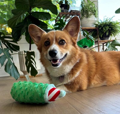 Guest review image 2 of 3, zoom in