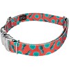 Country Brook Petz Premium Tropical Tango Dog Collar Limited Edition - image 2 of 4