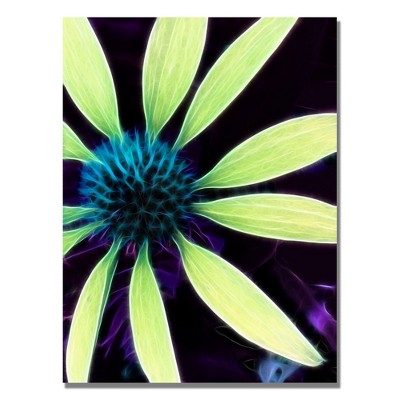 Trademark Fine Art -Kathie McCurdy 'Lime Green Coneflower' Canvas Art