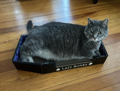 Guest review image 1 of 1, zoom in