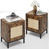 Rattan Night Stands Set 2, Modern Farmhouse Pattern Side Table, End Table with Tray - 2 of 4