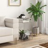 HOMCOM 2-Tier Acrylic Side Table, Modern S-Shaped End Table for Small Spaces, Home Decor Display, 14.25" x 16.25" x 23", Clear - 3 of 4