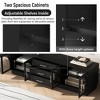 Dexmalle 68.9'' Modern Minimalist TV Stand for TVs up to 75 Inches with Adjustable Shelves - 4 of 4
