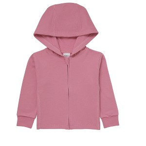 Hanes Pure Comfort Baby Lightweight French Terry Full-Zip Hoodie, Organic Cotton, Boys & Girls - 1 of 3