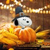 Peanuts Snoopy Thanksgiving Pumpkin Press-in 10 inch icon - 2 of 2