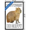 Trends International Capybara - Be Cappy Framed Wall Poster Prints - 3 of 4