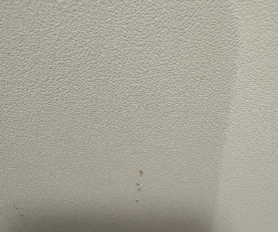 Guest review image 1 of 2, zoom in