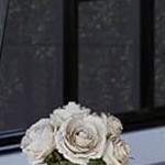 dark brown (top cloth) + khaki