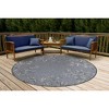 Liora Manne Carmel  Indoor/Outdoor Rug  Navy.. - 2 of 4