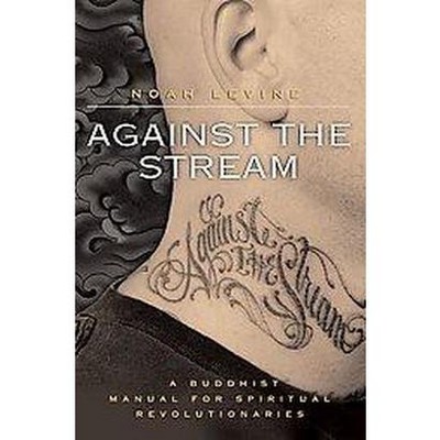 Against the Stream - by  Noah Levine (Paperback)