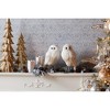 Winter Owl Decor (Set of 2) - 4 of 4